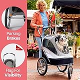 InnoPet „Sporty Trailer“ grau schwarz Katzenbuggy Hundefahrradanhänger Hundewagen Hundebuggy mit Luftreifen INKL. REGENHAUBE - 6